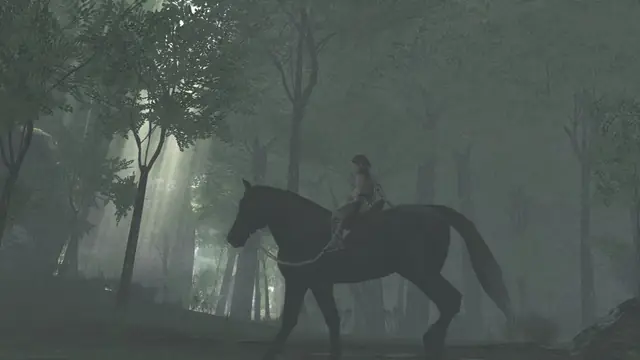 Wander rides Agro through a foggy forest, light falling between the trees